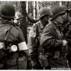 mg 477